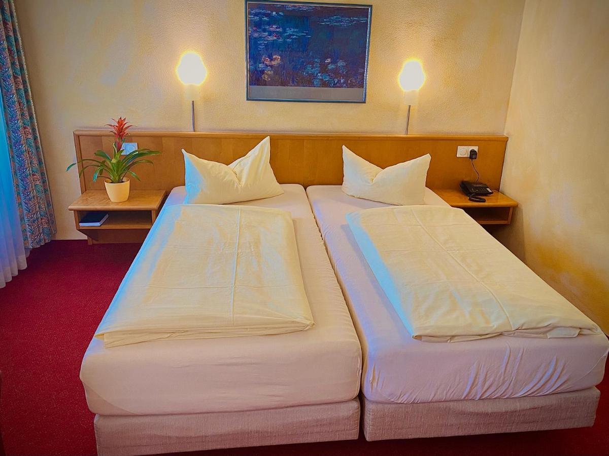 Meister Baer Hotel Ostbayern Floß Екстериор снимка